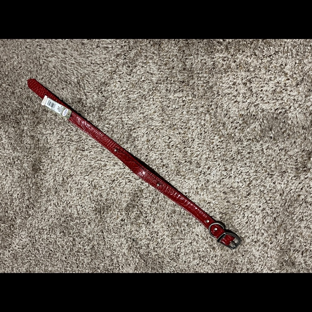 Red leather dog collar